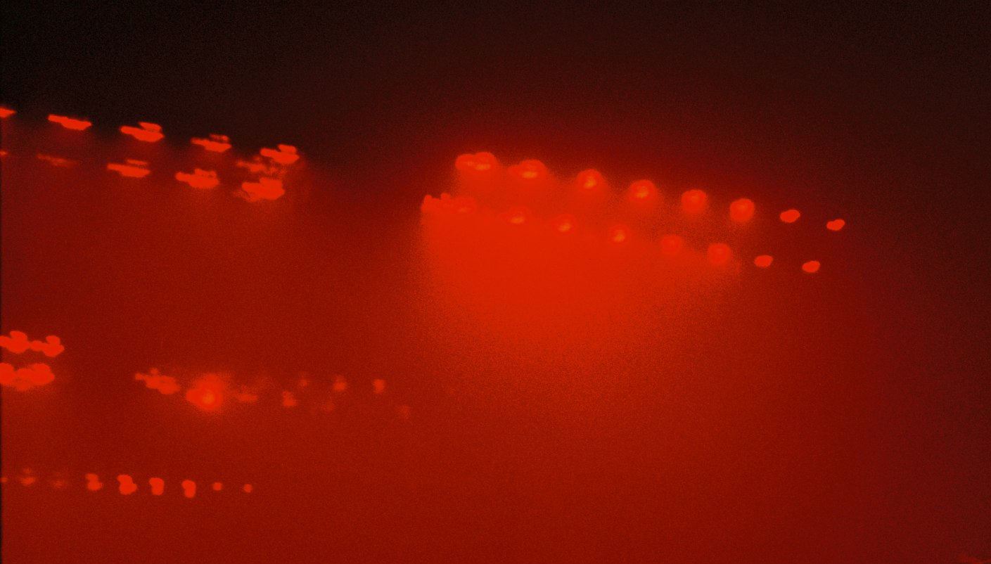 Red light installation